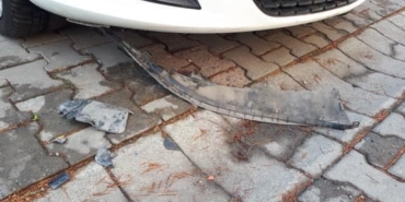 Beylikdüzü’nde sokak köpekleri park halindeki arabayı parçaladı