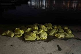 Beyoğlu’nda 1,5 ton kaçak midye ele geçirildi