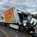 Beypiliç tırı dehşet saçtı: Anne, baba ve çocukları yaralandı