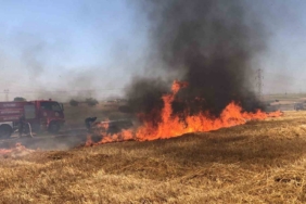 Biçilmesine saatler kala tarlası cayır cayır yandı