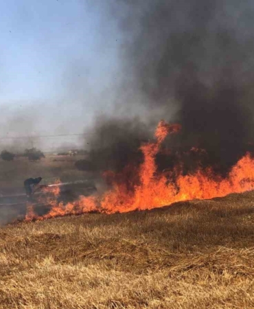 Biçilmesine saatler kala tarlası cayır cayır yandı