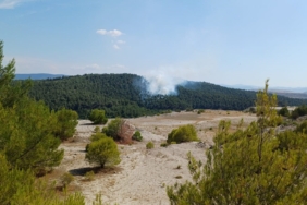 Bigadiç’te orman yangını