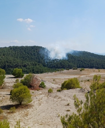 Bigadiç’te orman yangını