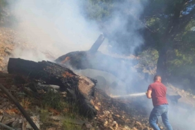 Bigadiç’teki orman yangını kontrol altında