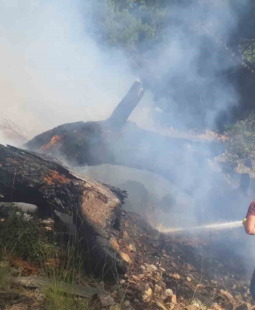 Bigadiç’teki orman yangını kontrol altında