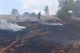 Bilecik’te anız yangını