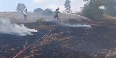 Bilecik’te anız yangını