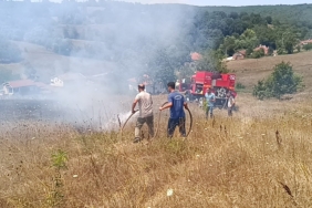 Bilecik’te çıkan ot yangınında 1 kişi hastanelik oldu