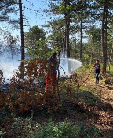 Bilecik’te dün başlayan orman yangınında 4 dekar alan kül oldu