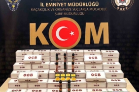 Bilecik’te kaçakçılara yönelik operasyonda 1 şüpheli yakalandı