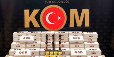 Bilecik’te kaçakçılara yönelik operasyonda 1 şüpheli yakalandı