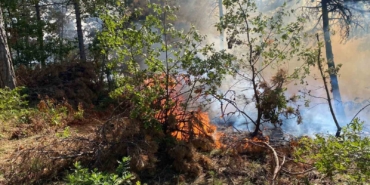Bilecik’te korkutan orman yangını rüzgarın etkisiyle büyüyor