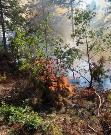 Bilecik’te korkutan orman yangını rüzgarın etkisiyle büyüyor