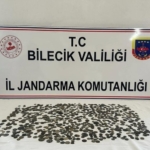 Bilecik’te Roma dönemine 794 adet sikke ele geçirildi