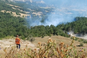 Bilecik’te son 2 günde 3’üncü orman yangını