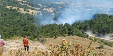 Bilecik’te son 2 günde 3’üncü orman yangını