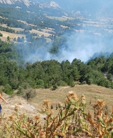 Bilecik’te son 2 günde 3’üncü orman yangını