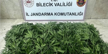 Bilecik’te uyuşturucu operasyonu: 2 şüpheli tutuklandı