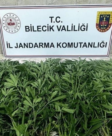 Bilecik’te uyuşturucu operasyonu: 2 şüpheli tutuklandı