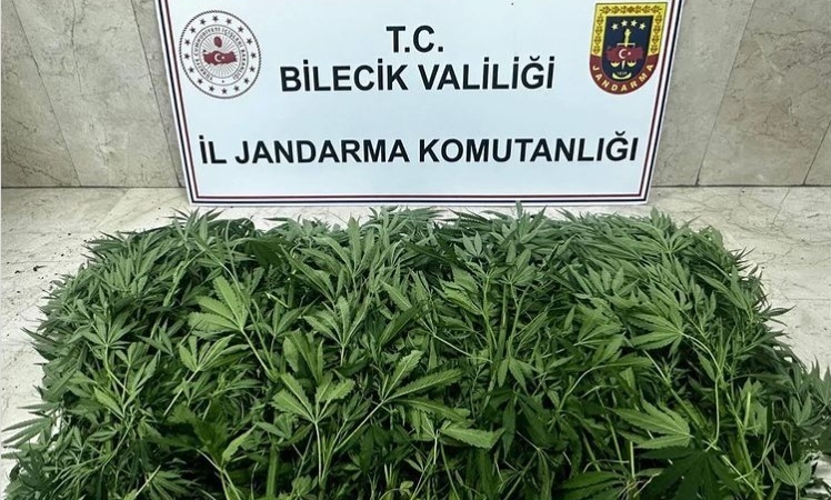Bilecik’te uyuşturucu operasyonu: 2 şüpheli tutuklandı