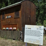 Binlerce arının üzerine yatan, daha dinç kalkıyor