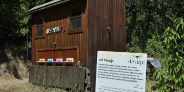 Binlerce arının üzerine yatan, daha dinç kalkıyor