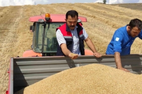 Bozüyük’te biçerdöver denetimi ve hasat yapılan hububat tarlalarında kontroller