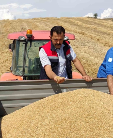 Bozüyük’te biçerdöver denetimi ve hasat yapılan hububat tarlalarında kontroller