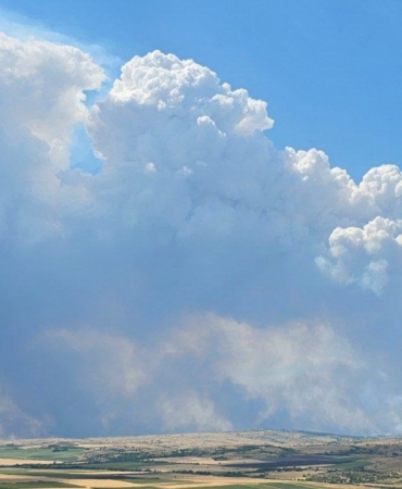 Bulgaristan-Türkiye sınırında yangın: Alevler sınıra dayandı