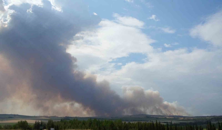 Bulgaristan’daki yangın Edirne sınırına ilerliyor, köy halkı tedirgin
