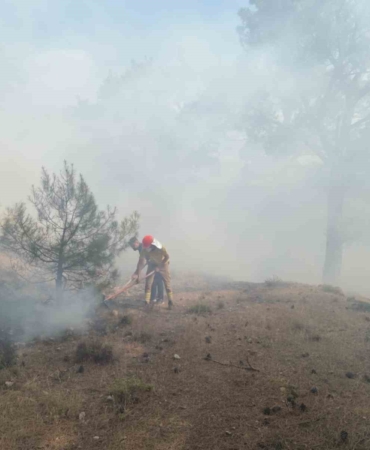 Burhaniye’deki orman yangını kısa sürede kontrol altına alındı