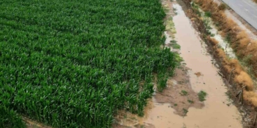 Bursa Ovası’nda binlerce dönüm ekili alan sular altında