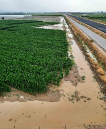 Bursa Ovası’nda binlerce dönüm ekili alan sular altında