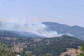 Bursa’da orman yangını çıktı, havadan ve karadan müdahaleler başladı