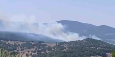 Bursa’da orman yangını çıktı, havadan ve karadan müdahaleler başladı