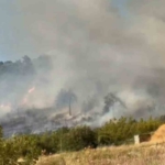 Bursa’da orman yangını