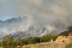 Bursa’da orman yangını