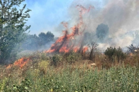 Bursa’da otluk alanda çıkan yangın büyümeden söndürüldü