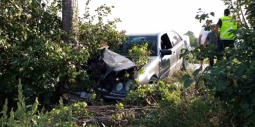 Bursa’da otomobil ağaçlara çarptı: 2 yaralı