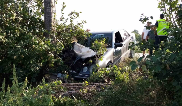 Bursa’da otomobil ağaçlara çarptı: 2 yaralı