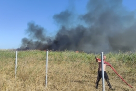 Bursa’da sazlık alanda yangın