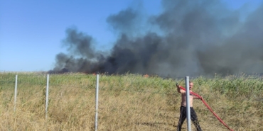 Bursa’da sazlık alanda yangın