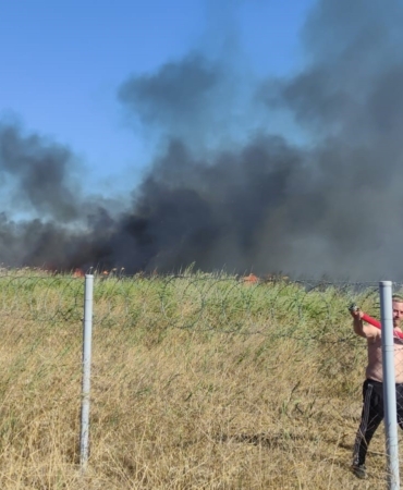 Bursa’da sazlık alanda yangın