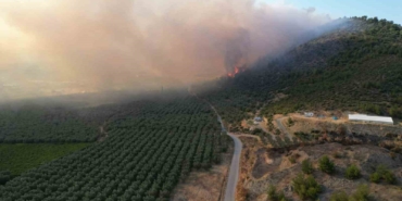 Bursa’da yangın