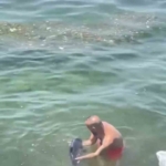 Bursa’da yunus balığı balıkçıların ağına takıldı