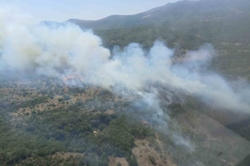 Bursa’daki orman yangını kontrol altına alındı