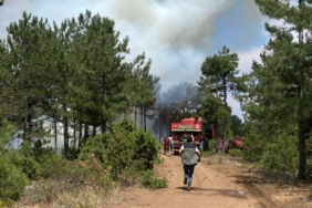 Bursa’nın Orhaneli ilçesinde çıkan yangın kontrol altına alındı