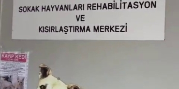 Büyükada Rehabilitasyon Merkezi’nde ’hayvanlara bakılmıyor’ iddiası