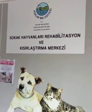 Büyükada Rehabilitasyon Merkezi’nde ’hayvanlara bakılmıyor’ iddiası