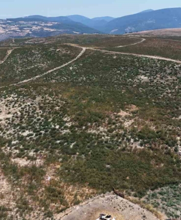 Çanakkale’de küle dönen alanlar yeniden yeşeriyor